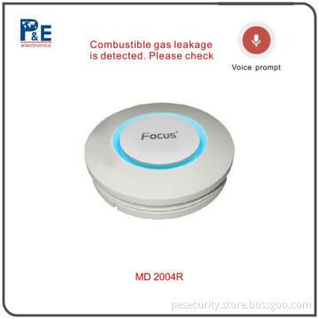 Wireless CO Detector With Voice Prompt